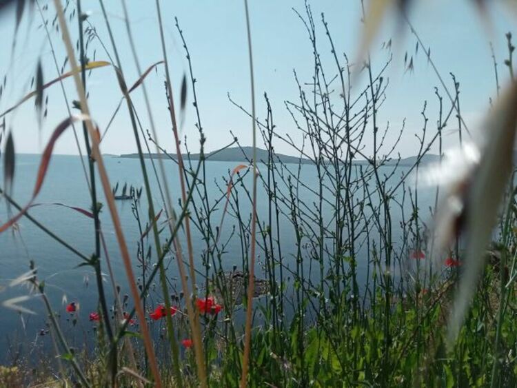 Топло с превалявания привечер