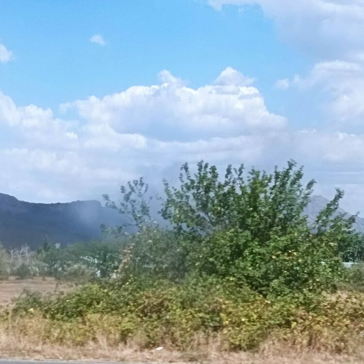 Забраниха изхвърлянето на боклук на горящото сметище при Вишеград, Кърджали е заприличал на бунище