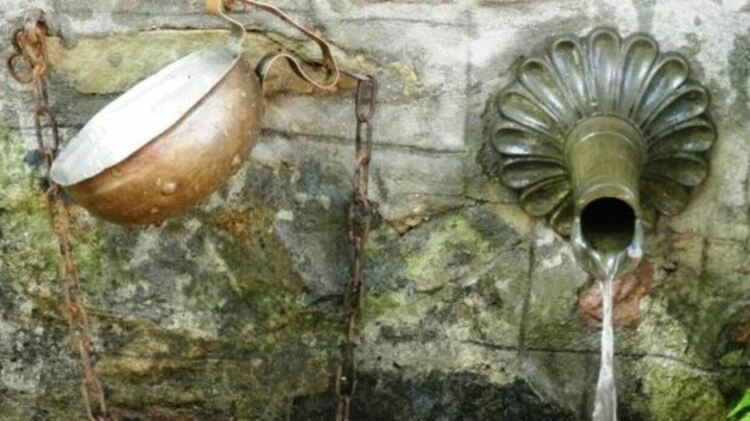 Изчезват чешмарите в Пернишко