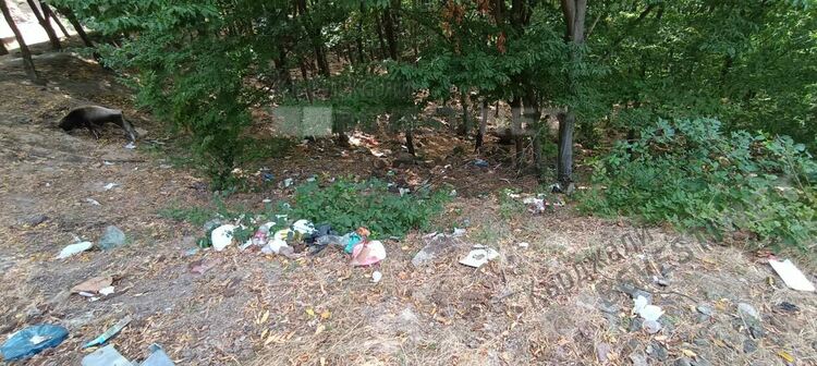 Туристи трупат боклуци на Дамбалъ, поругават свято място за мнозина