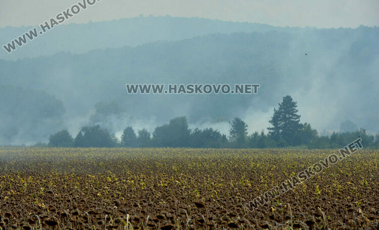 Огънят край Брягово е в опасна близост до пътя за Харманли
