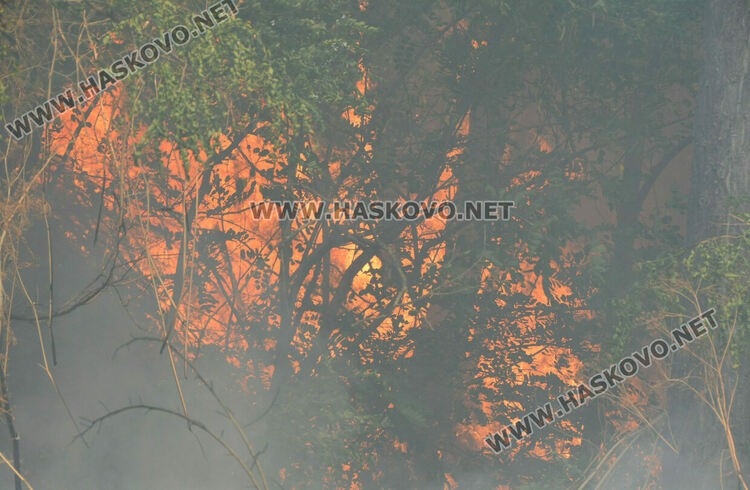 Огънят край Брягово е в опасна близост до пътя за Харманли