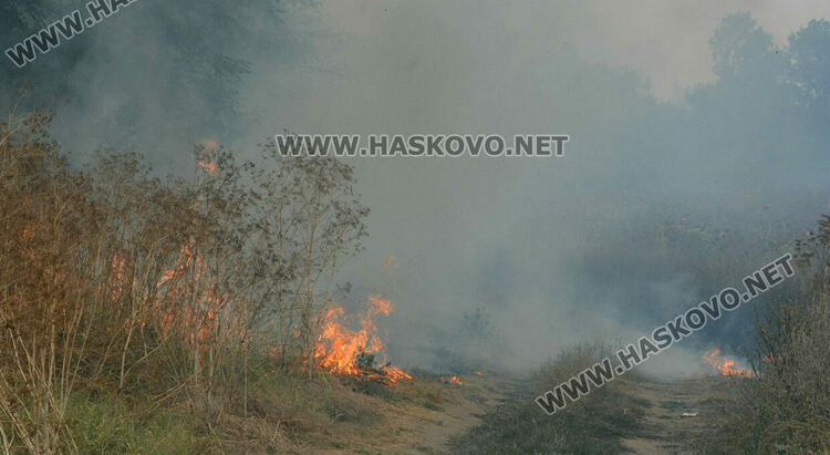 Огънят край Брягово е в опасна близост до пътя за Харманли