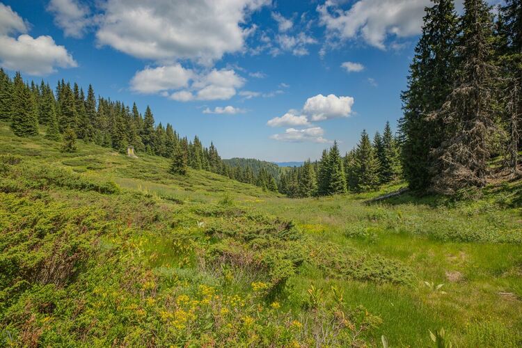 снимка: Нина Серафимова