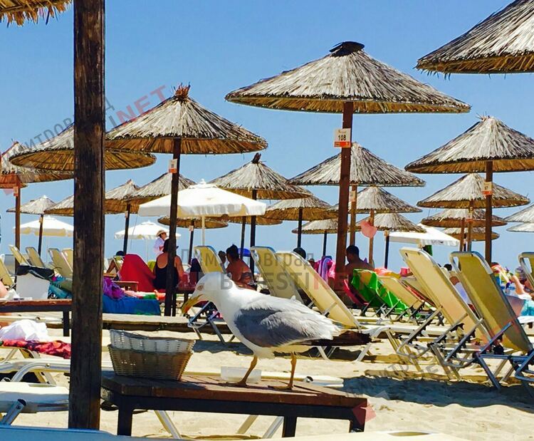 Облаци и малка вероятност за дъжд в хасковско