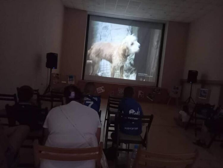 Киното е чудесен начин да прекарате време с приятели