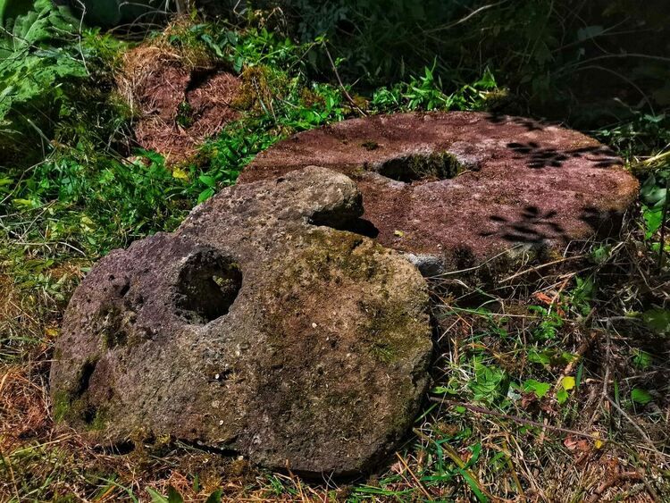 Завърши маркировката на туристическа пътека „Старата воденица“ в района на Чепеларе