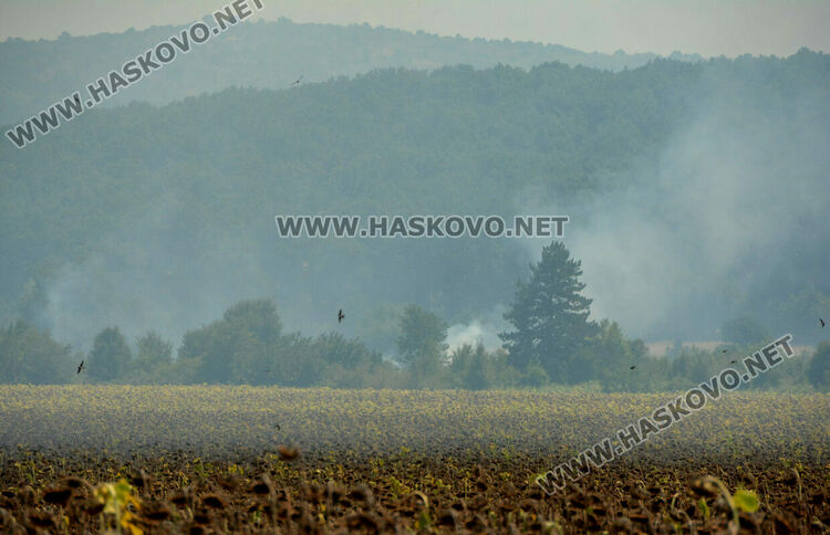 Пожарите в Хасковско са локализирани, остават под наблюдение