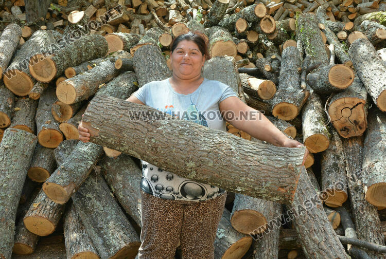 Нова цена на дървата за огрев: с 30 лева нагоре от началото на седмицата