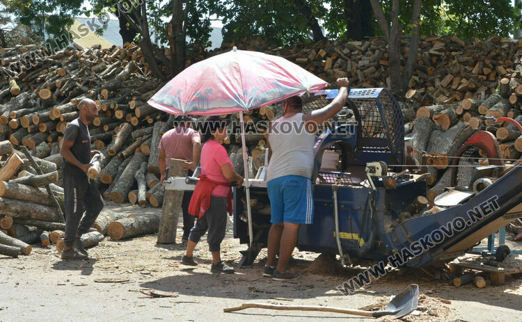 Нова цена на дървата за огрев: с 30 лева нагоре от началото на седмицата
