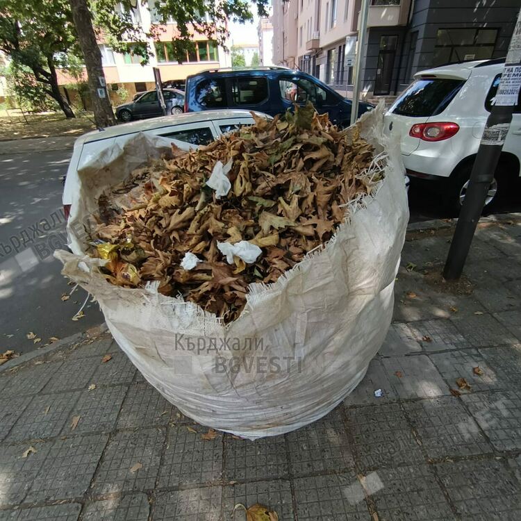   Парковете в Кърджали също тънат в боклуци, изхвърлени от недобросъвестни кърджалийци