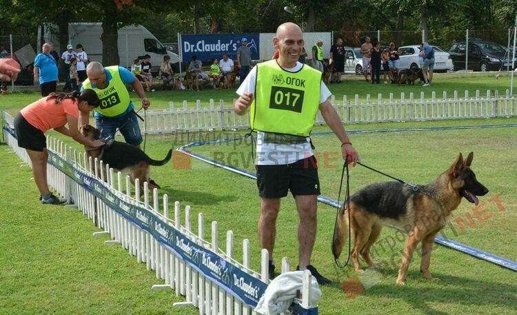 Десетки германски овчарки на изложба в Димитровград 