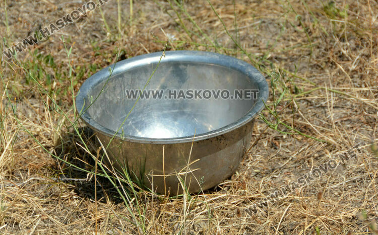 Неправителствена организация  разкрасява  зоната за разходка на кучета на “Кенана”