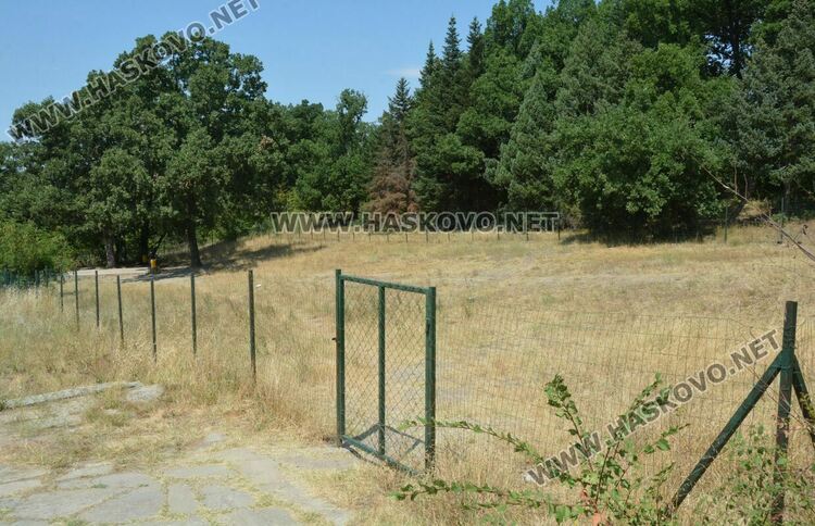 Неправителствена организация  разкрасява  зоната за разходка на кучета на “Кенана”