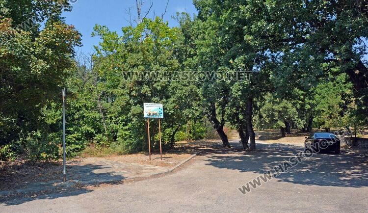 Неправителствена организация  разкрасява  зоната за разходка на кучета на “Кенана”