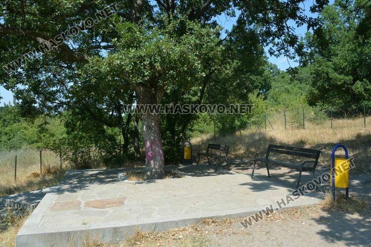 Неправителствена организация  разкрасява  зоната за разходка на кучета на “Кенана”