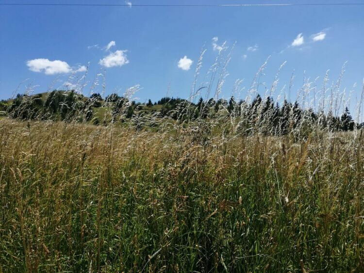 В планините ще бъде предимно слънчево, но след обяд може да превали
