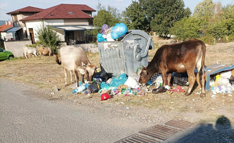 Ултиматум от Резбарци: Ако днес не вдигнете боклука,го стоварваме пред Общината!