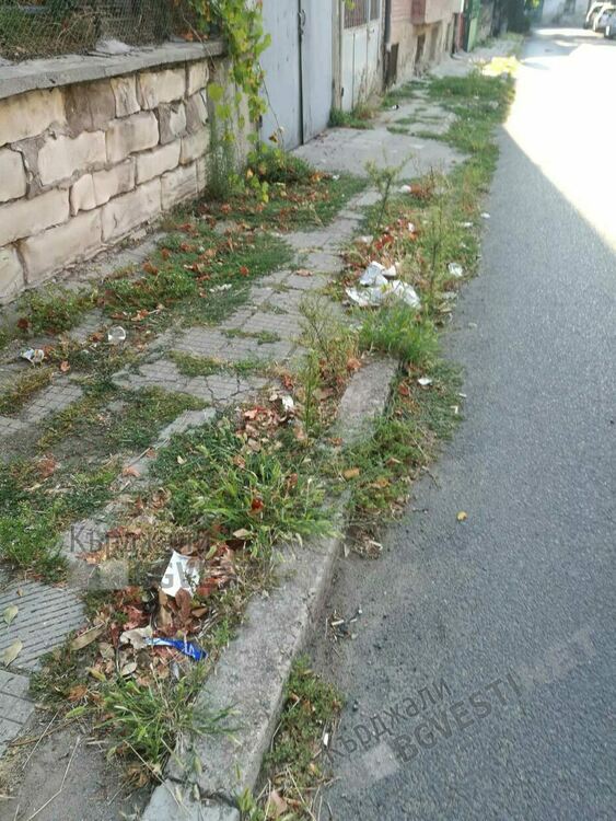 Читател:Тротоари в Кърджали, където минават туристи, тънат в бурени