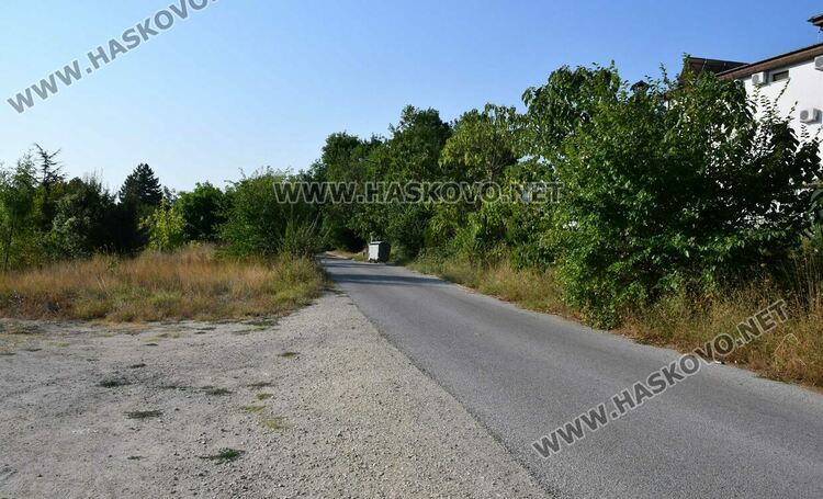 Трупове на домашни любимци усмърдяха „Кенана“, хасковлии искат гробище