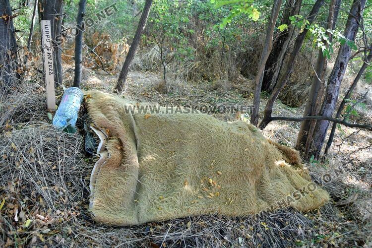 Трупове на домашни любимци усмърдяха „Кенана“, хасковлии искат гробище
