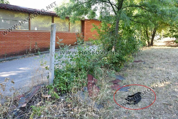 Трупове на домашни любимци усмърдяха „Кенана“, хасковлии искат гробище