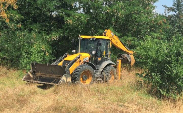 Премахнаха трупа на кучето и обезпаразитиха терена в &bdquo;Кенана&ldquo;