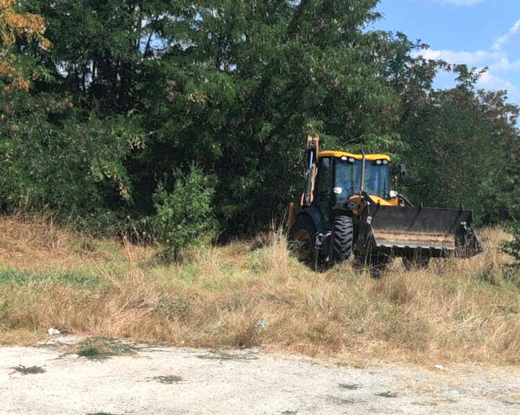 Премахнаха трупа на кучето и обезпаразитиха терена в &bdquo;Кенана&ldquo;