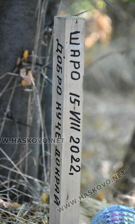 Трупове на домашни любимци усмърдяха „Кенана“, хасковлии искат гробище