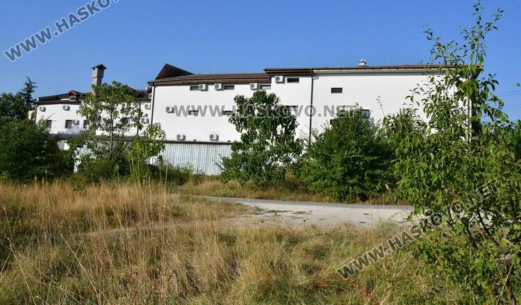 Трупове на домашни любимци усмърдяха „Кенана“, хасковлии искат гробище