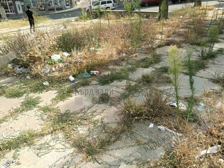 Площадчето на Пазара тъне в бурени и боклуци, сметосъбиращата фирма нехае