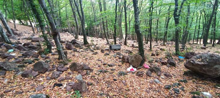 Човекът с Мисия, как Мохамед чисти Дамбалъ