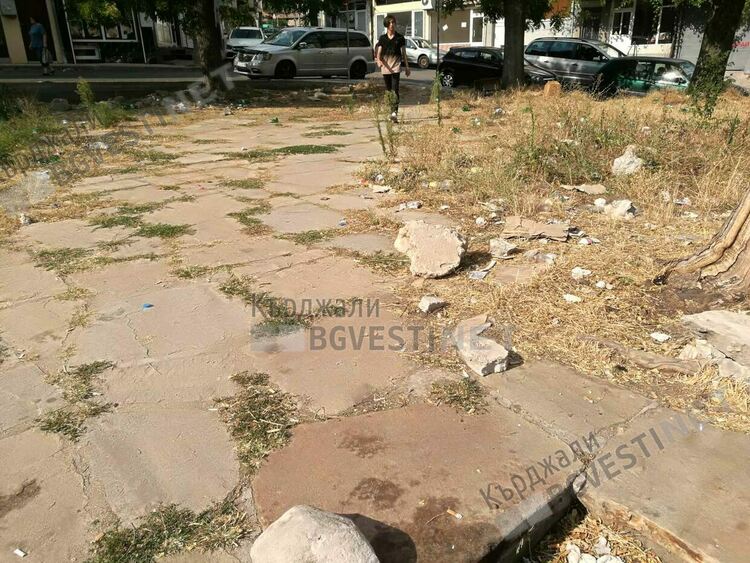 Площадчето на Пазара тъне в бурени и боклуци, сметосъбиращата фирма нехае