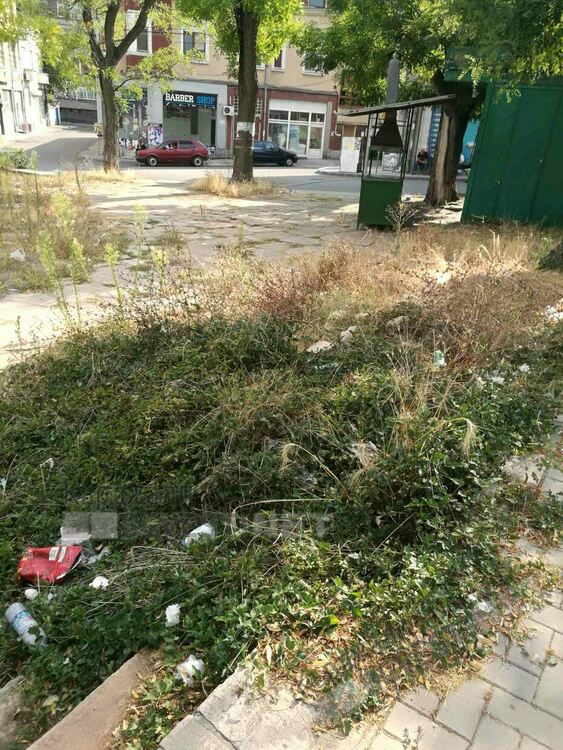 Площадчето на Пазара тъне в бурени и боклуци, сметосъбиращата фирма нехае