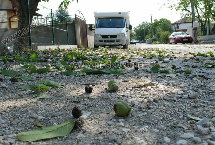 Градушка потроши стъкла на коли и насаждения в Хасково