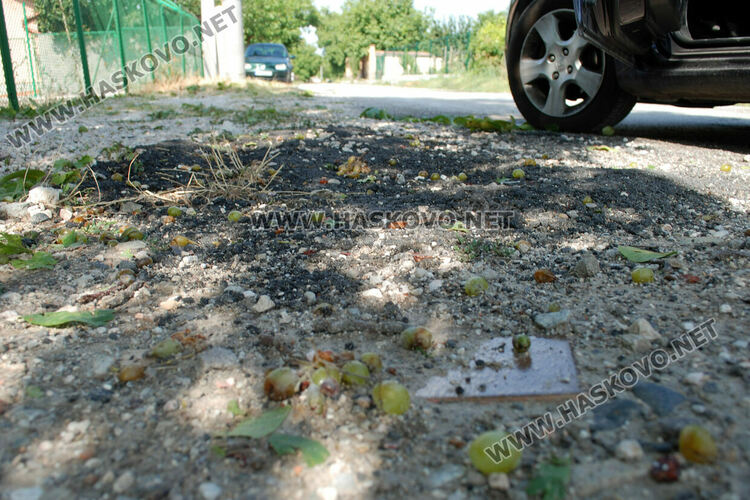 Градушка потроши стъкла на коли и насаждения в Хасково