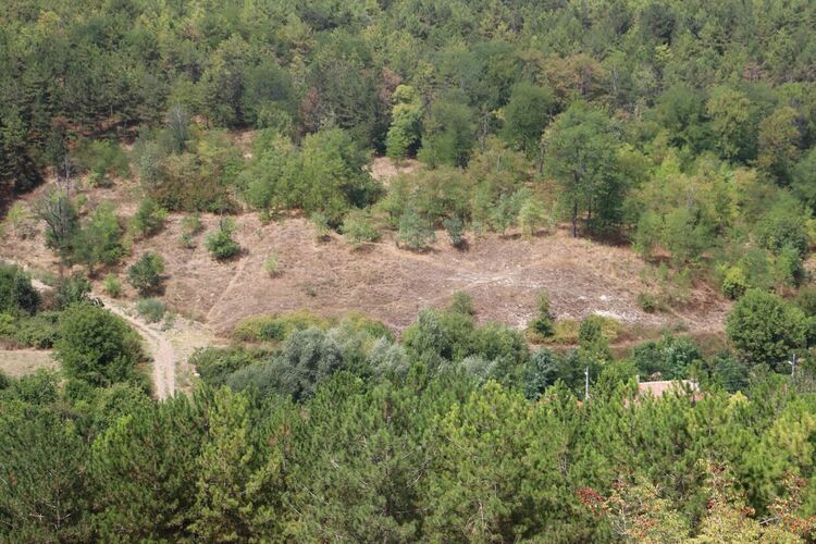 Засаждат 500 люляка на „Ямача“, инсталират слънчеви системи в 8 детски градини