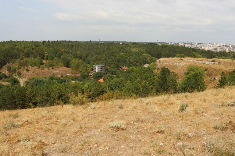 Засаждат 500 люляка на „Ямача“, инсталират слънчеви системи в 8 детски градини