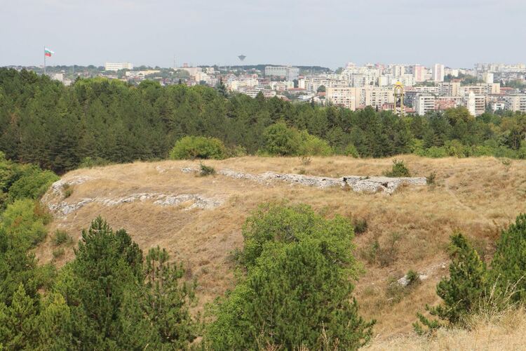 Засаждат 500 люляка на „Ямача“, инсталират слънчеви системи в 8 детски градини