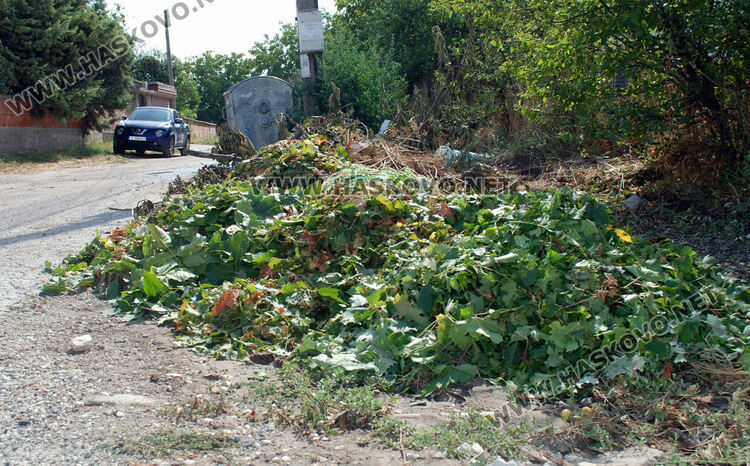 Градушка потроши стъкла на коли и насаждения в Хасково