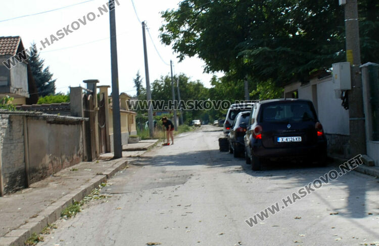 Градушка потроши стъкла на коли и насаждения в Хасково
