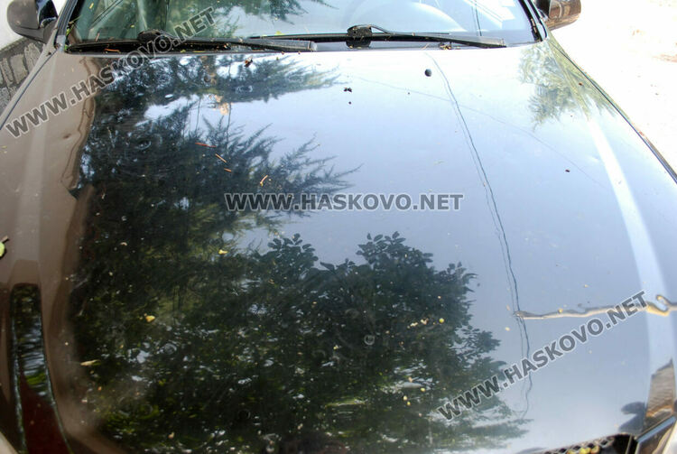 Градушка потроши стъкла на коли и насаждения в Хасково
