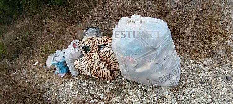 Събраното при Градинка