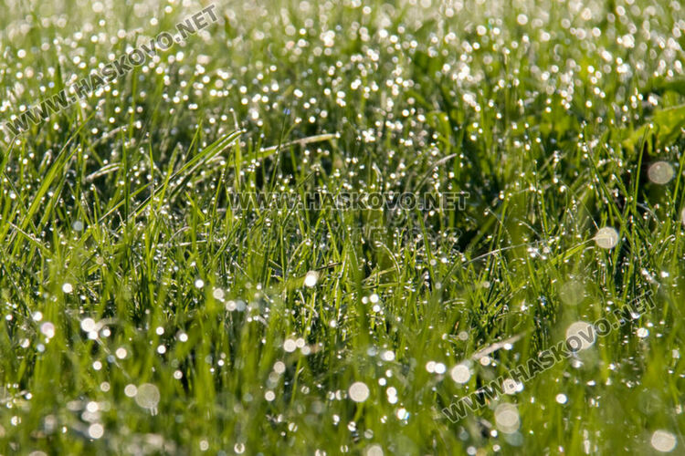 Отново прогноза за дъжд, остава топло