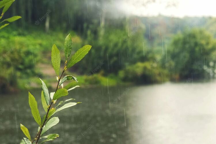 Променливо време с превалявания и гръмотевици