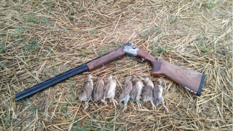 И рибар съм, и ловец съм“ – между музиката и сладките емоции