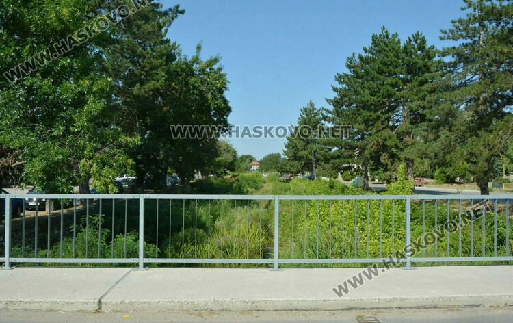 Задържаха хасковлия да отглежда канабис край реката в Книжовник