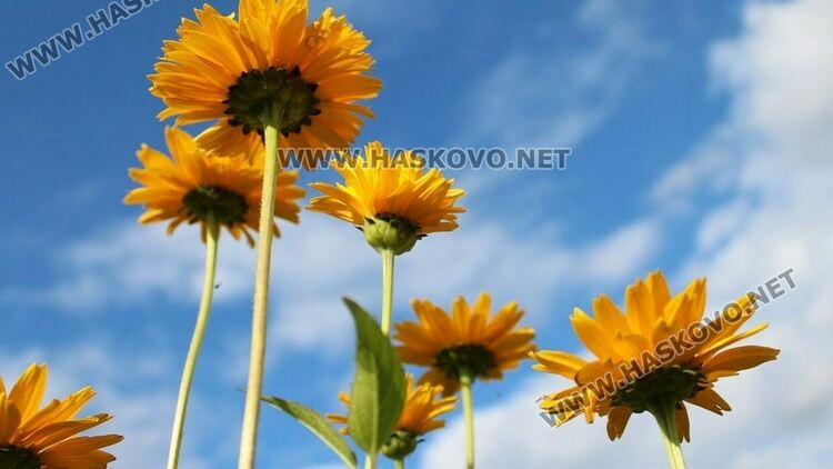 Температурите се повишават до 33 градуса