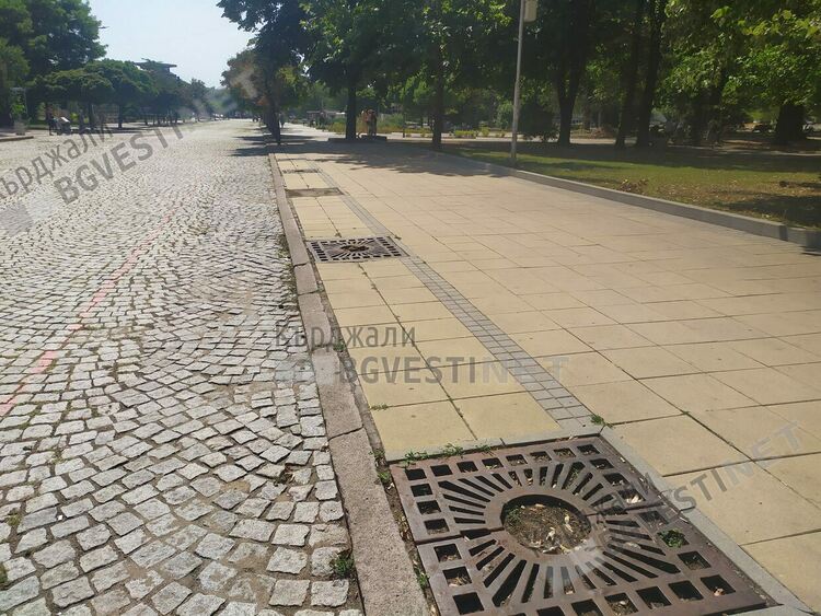 35 дръвчета са изсечени пред Община Кърджали,  обещават да засадят нови