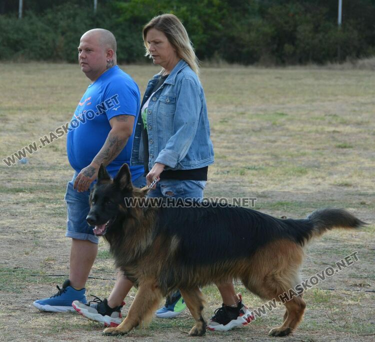 101 немски овчарки от Сърбия, България и Гърция гастролираха в Хасково
